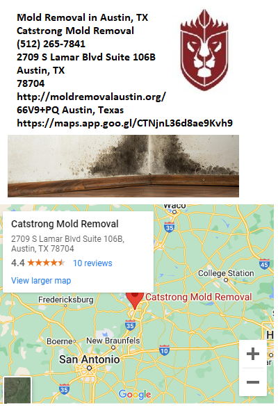 Mold Removal Basement