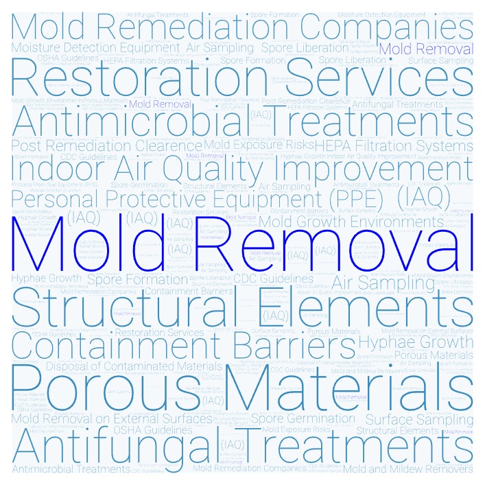 Mold Removal Residential
