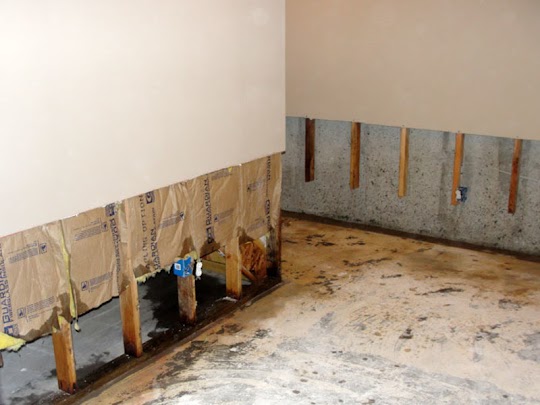 Mold Removal House